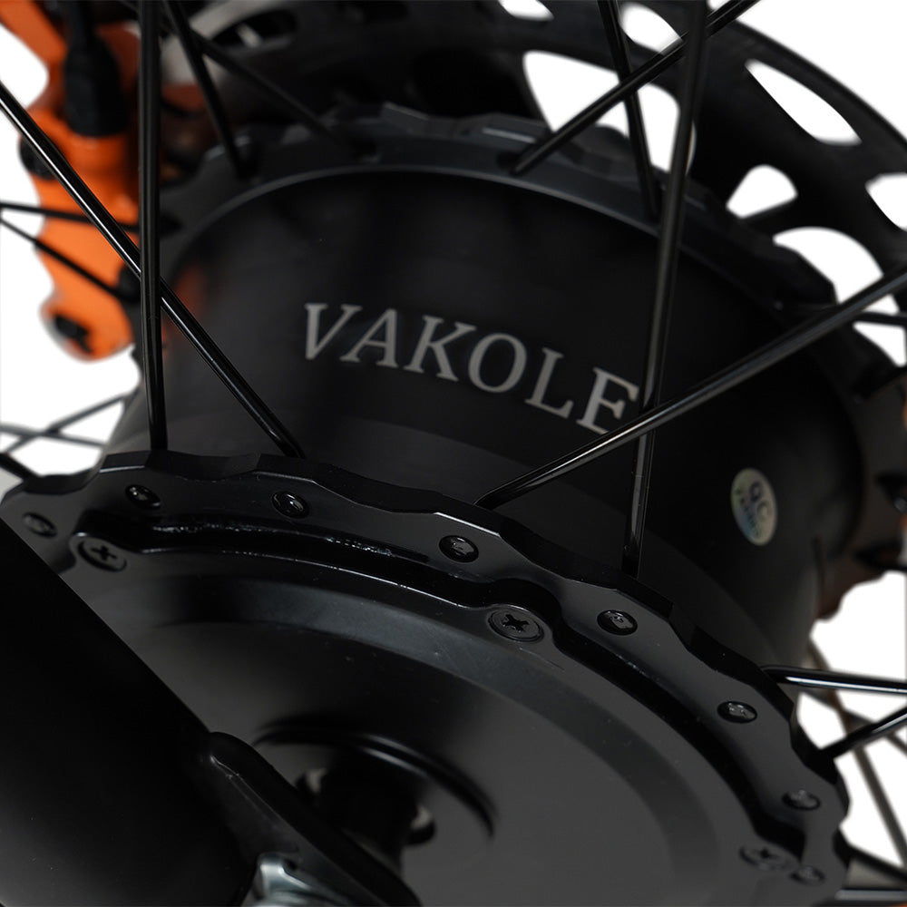 Vakole CO20 MAX 250W*2 デュアルモーター 20 "ファットバイク折りたたみ電動自転車 20Ah サムスンバッテリー